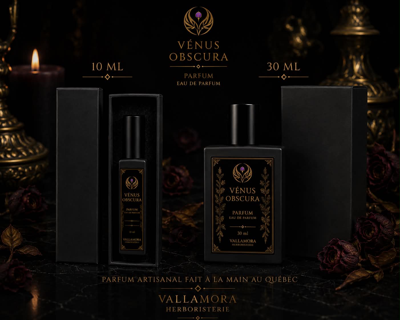 Vénus Obscura